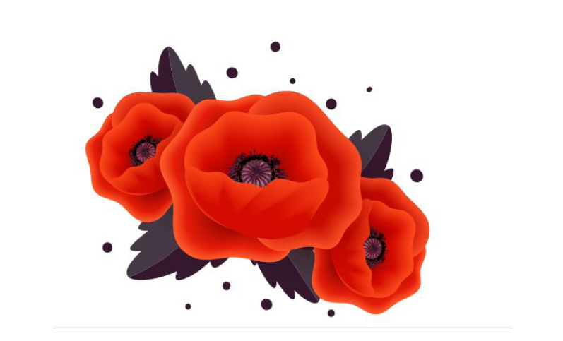 Anzac Day Services in the Tararua District