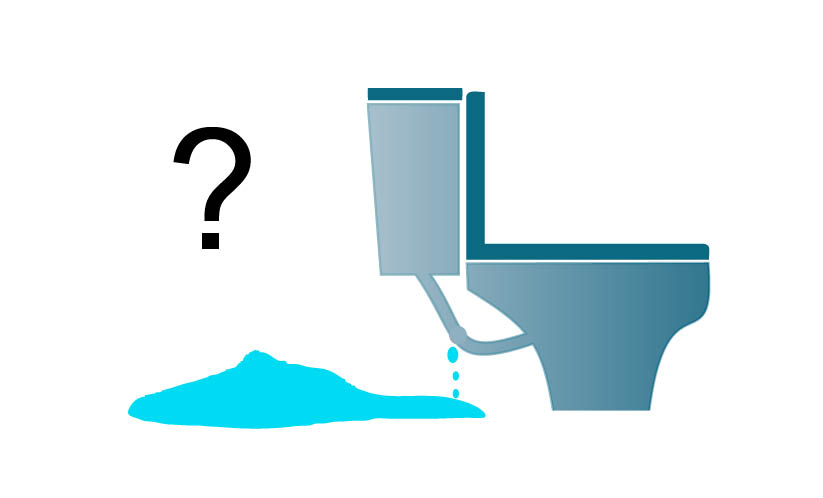 Does your loo leak ?