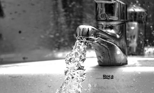 Flush your taps