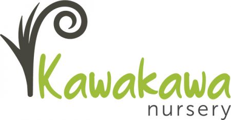 Kawakawa Nursery logo