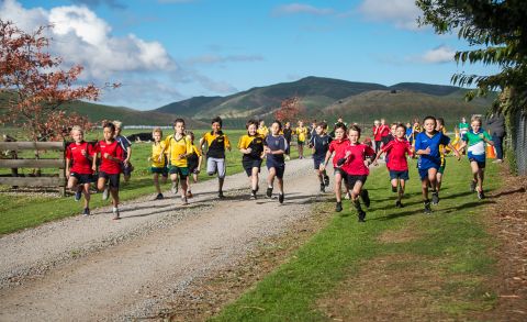 Active Recreation & Sports Database