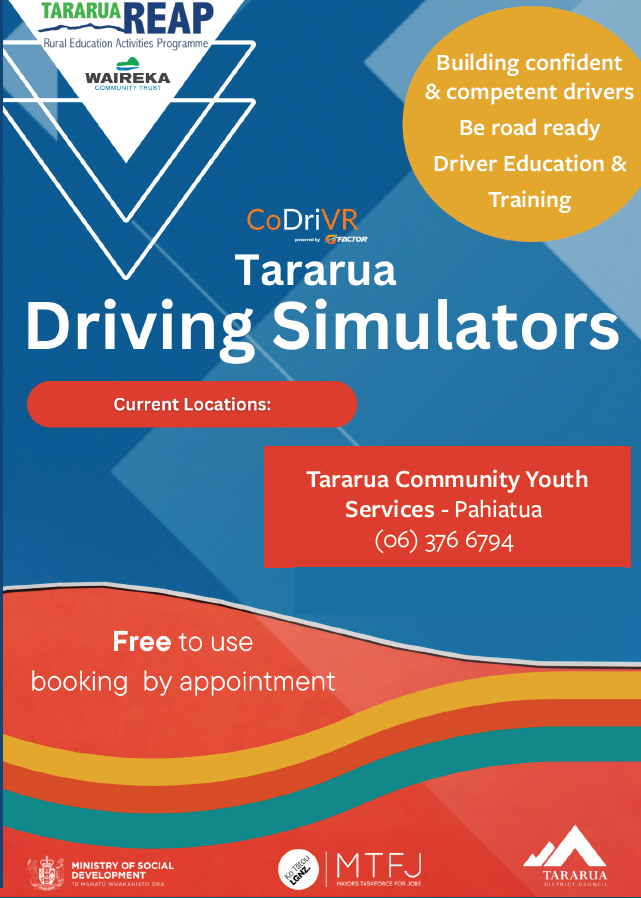 Driving simulator