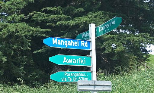 Mangahei Road works