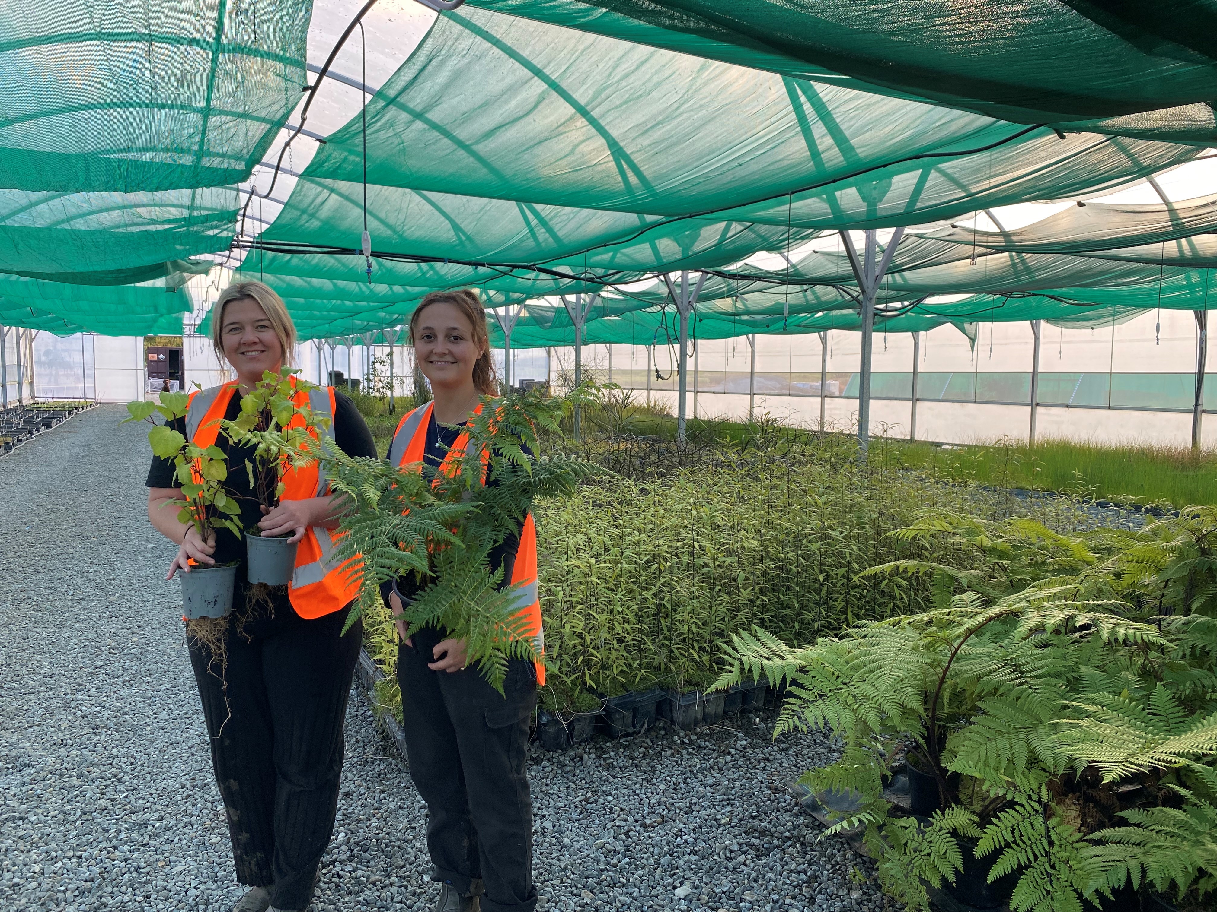 Kawakawa Nursery